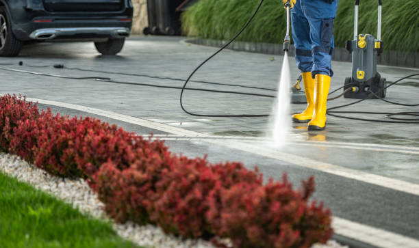 Best Fence Cleaning  in Alorton, IL