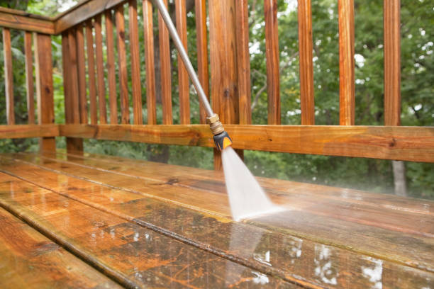 Best Dumpster Area Cleaning  in Alorton, IL