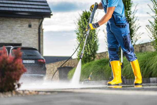 Best House Exterior Washing  in Alorton, IL